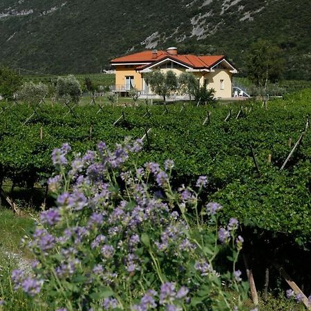Appartamenti Al Vigneto Дро Экстерьер фото