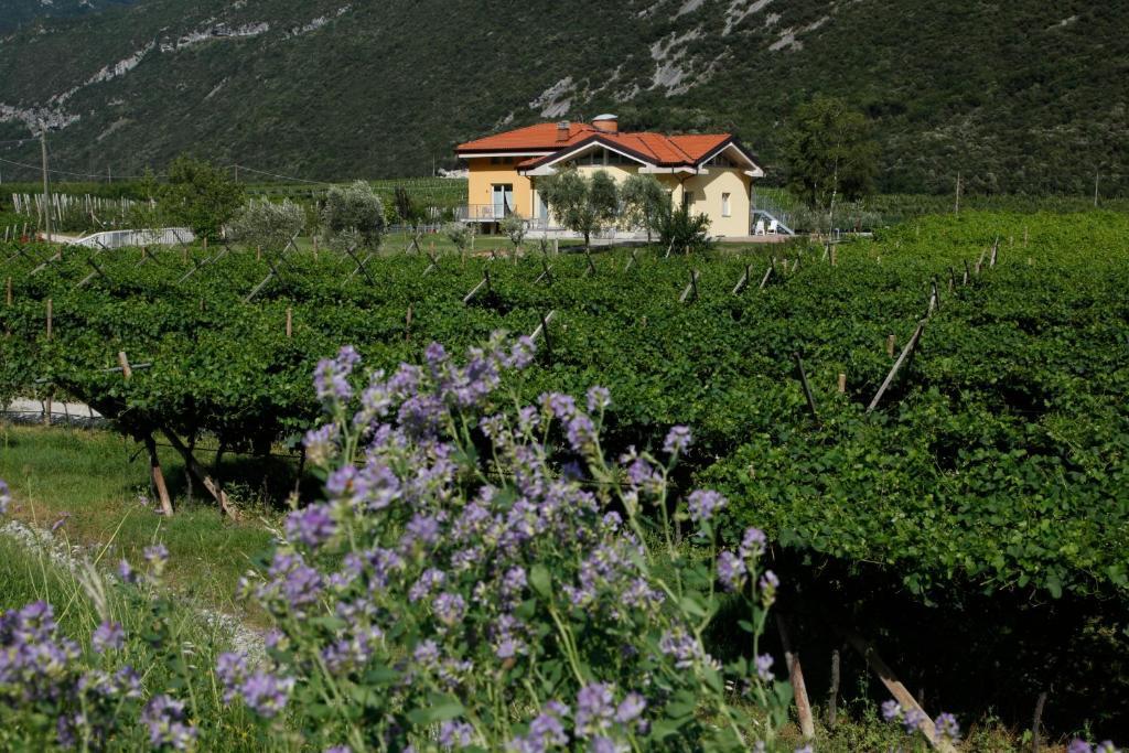 Appartamenti Al Vigneto Дро Экстерьер фото